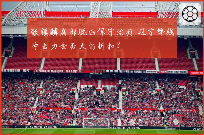 张镇麟肩部脱臼保守治疗 辽宁锋线冲击力会否大打折扣？