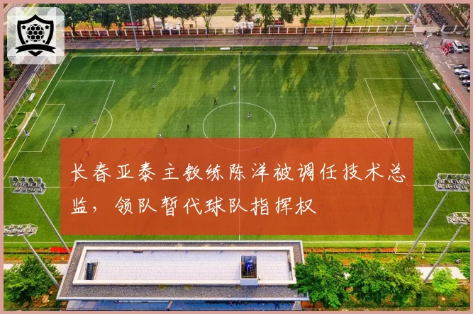 长春亚泰主教练陈洋被调任技术总监，领队暂代球队指挥权