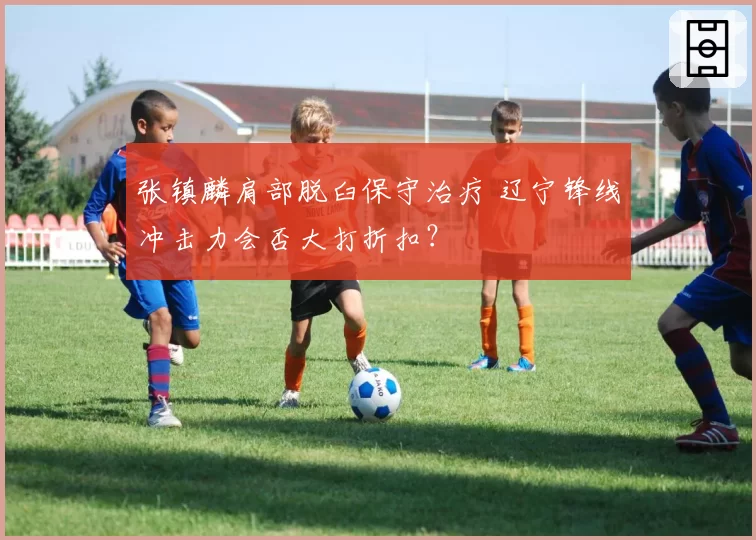 张镇麟肩部脱臼保守治疗 辽宁锋线冲击力会否大打折扣？